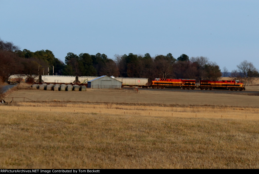 Hay field